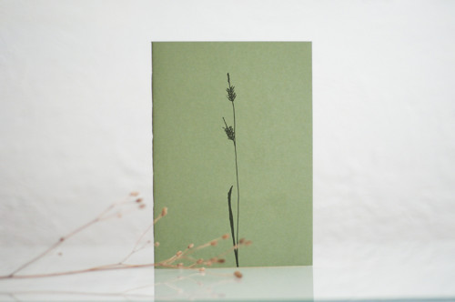 Sešit Grass
