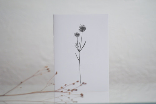 Sešit Grass