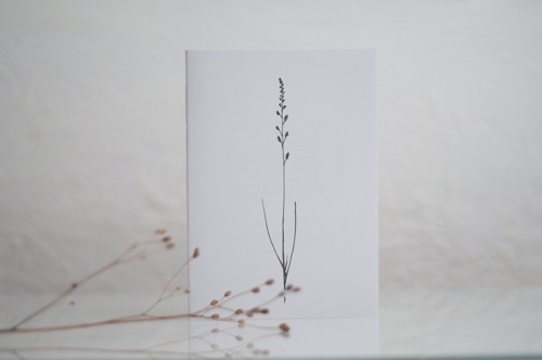 Sešit Grass