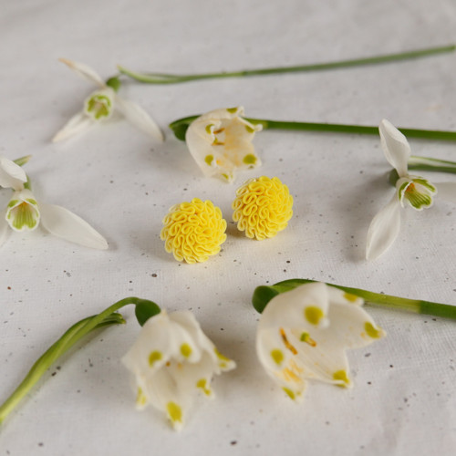 Náušnice Lemon — foto 1