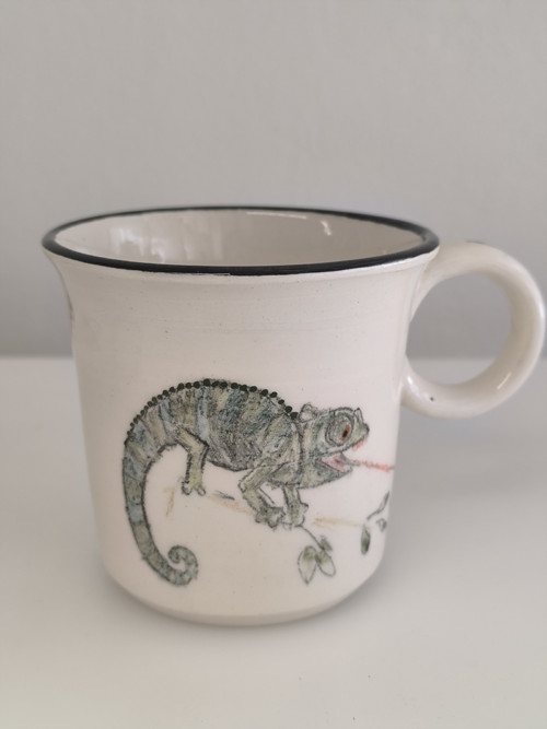 Lov chameleona