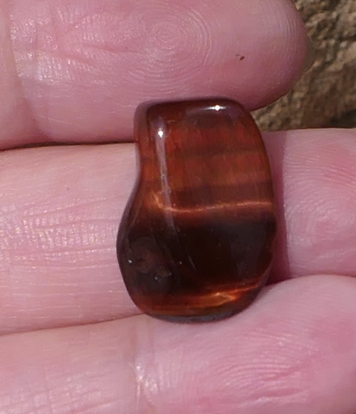 Býčí oko V852 — foto 1