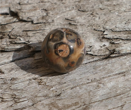 Kulička - jaspis leopardí 10,1 mm V867 — foto 1