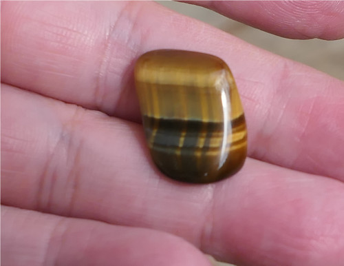 Tygří/ sokolí oko (20 mm) V873