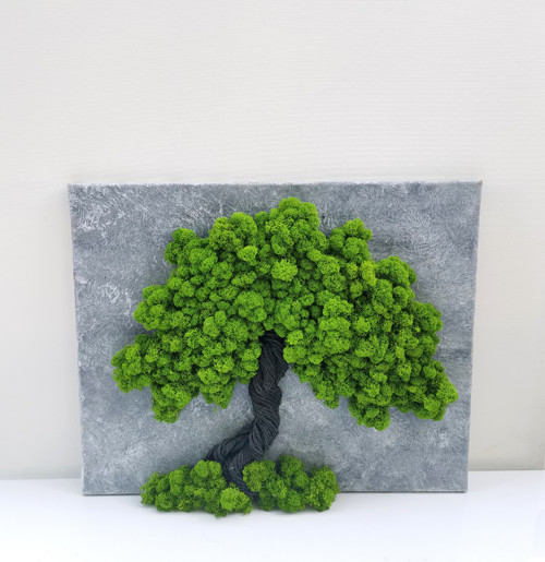 Živý mechový obraz, strom 40x50cm