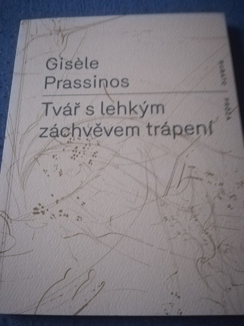 Giselle Prassinos Tvář s lehkým záchvěvem trápení