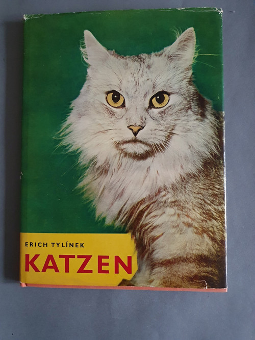 Kočičky — foto 1