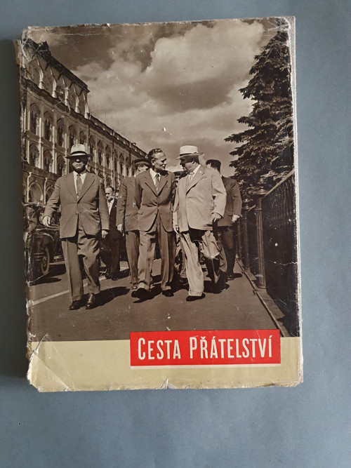 Cesta přátelství