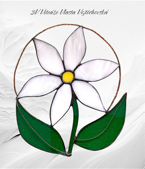 Kopretina — foto 1