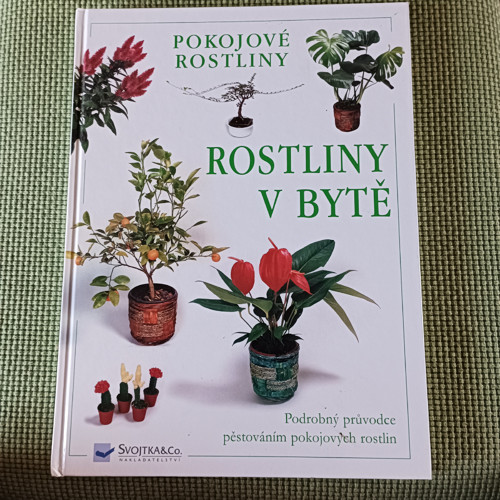 Rostliny v bytě — foto 1