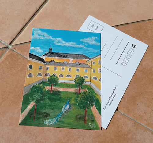 Pohlednice - Páv