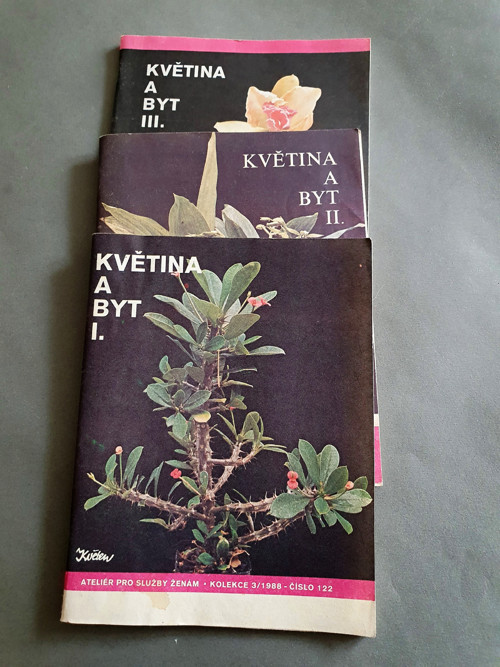 Květina a byt