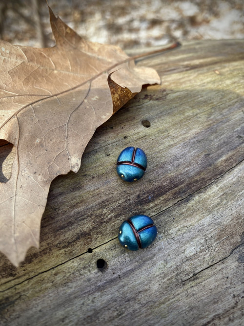 Beetles — foto 1