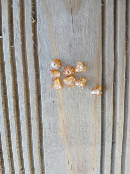 Korálek mačkaný zvonek 5x6 mm barva topaz