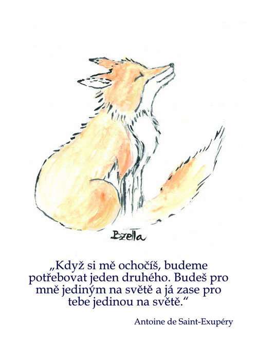 Pohlednice/přání Liška s citátem