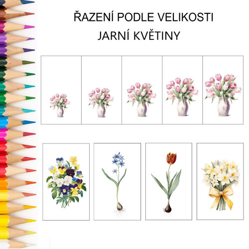 Řazení podle velikosti JARNÍ KVĚTINY v PDF
