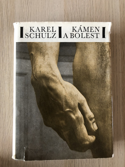 Karel Schulz "Kámen a bolest"
