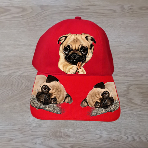 Mops Kšiltovka