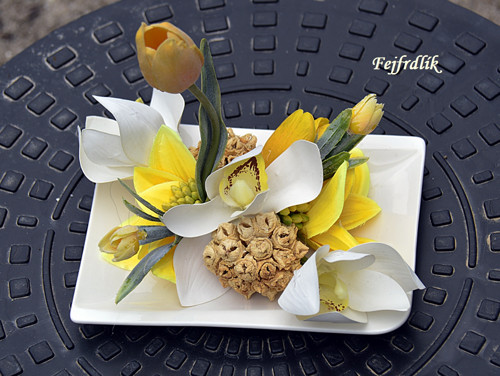 Cymbidie s tulipány