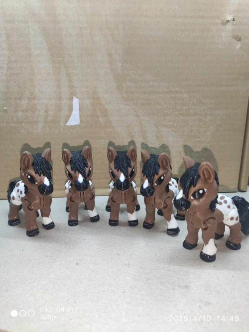 Malý kůň - Appaloosa