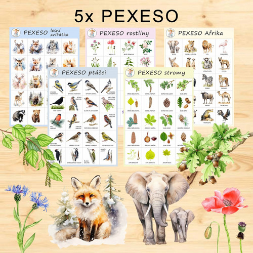 5x PEXESO v PDF