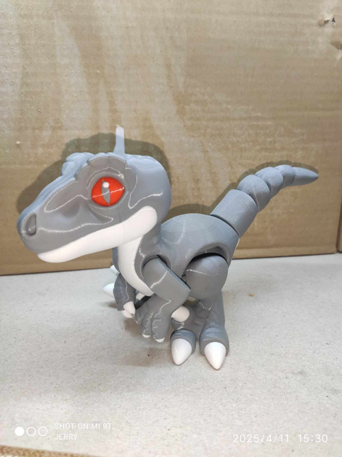 Raptor