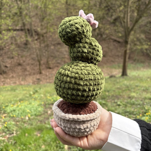 Háčkovaný kaktus — foto 1