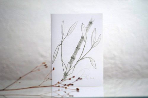 SEŠIT BAMBOO (sketch)