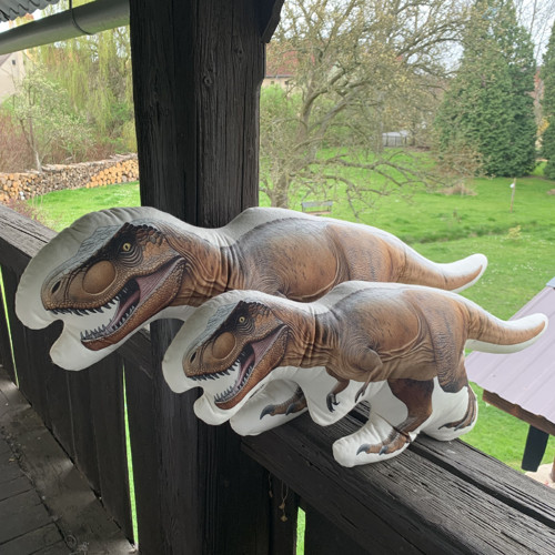 Polštář 3D - Dinosourus L — foto 1