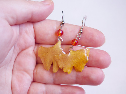 Ginkgo biloba - pryskyřicové náušnice