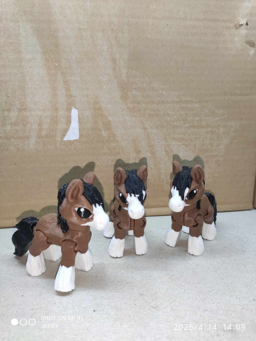 Malý kůň - Clydesdale
