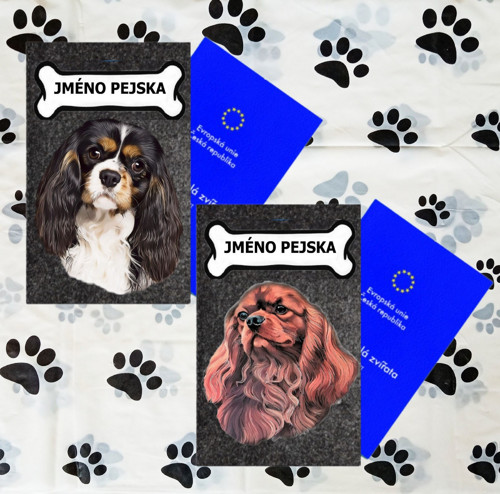 Kavalírek Pouzdro Na Očkovací Průkaz Se Jménem
