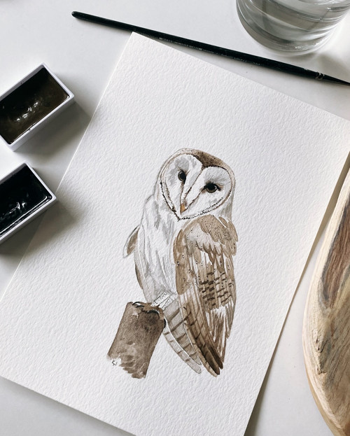 Sova pálená - akvarel, originál, A5