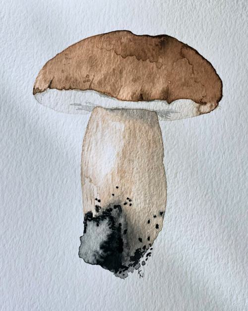 Hríb dubový - akvarel, originál, A5