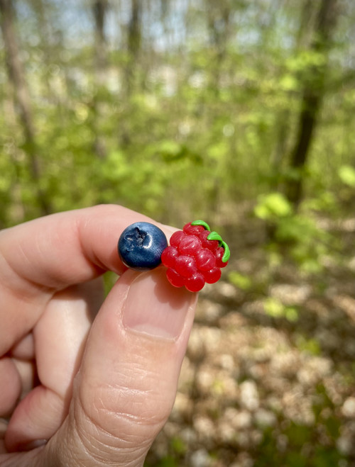 Borůvka...malinka — foto 1