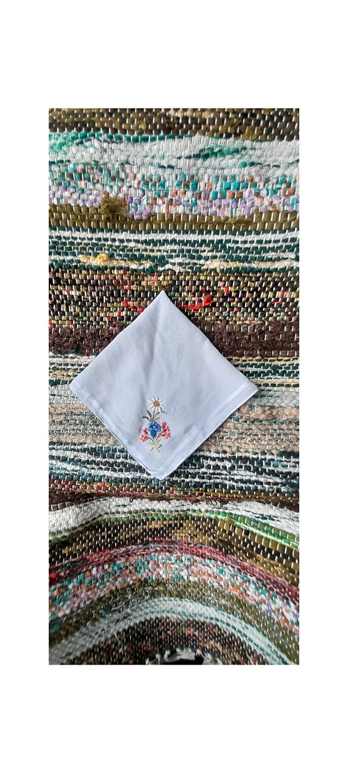 Modrý kapesníček — foto 1
