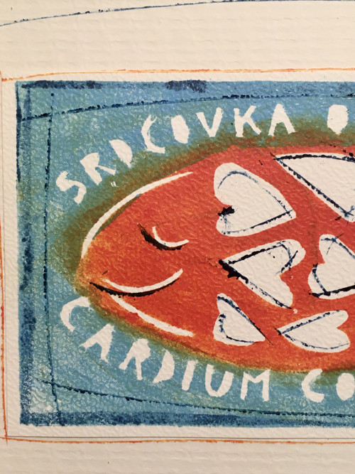Srdcovka obecná