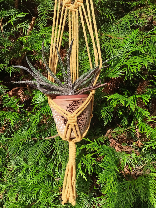 Žlutý závěs na květináč. Macramé