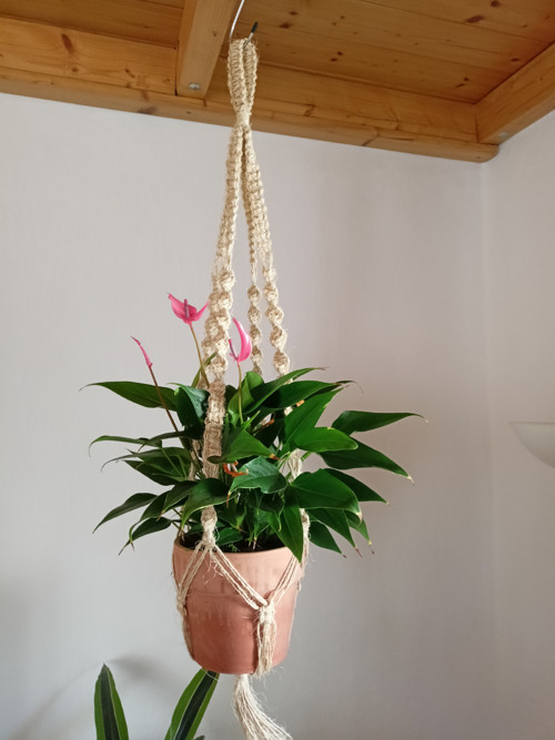 SISAL..přírodní a krásný..můžete zavěsit i venku.
