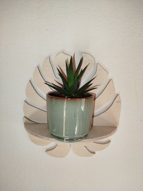 Polička monstera