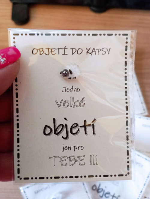 389A - Velké objetí - ovečka
