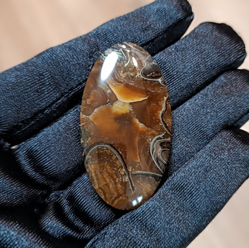 Amonitový Simbircit, ID 4883, 47x25 mm