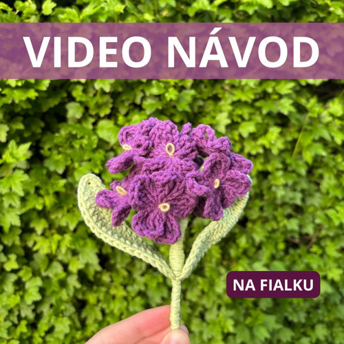 Video návod na háčkovanou fialku