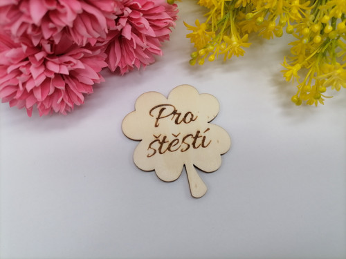 Magnet pro štěstí pro učitele