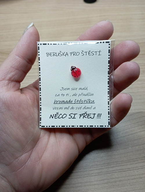 436 - Beruška pro štěstí