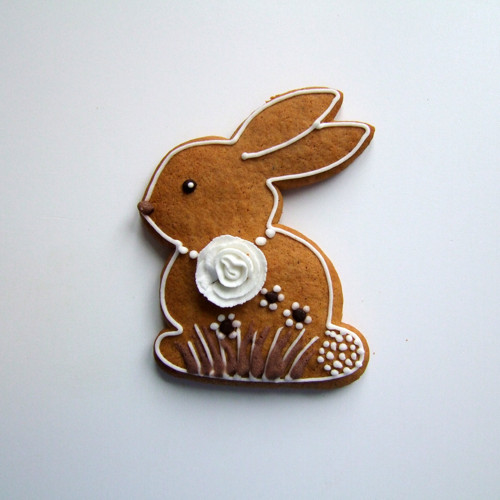 Č. 17 B Perník - Zajíček Viktor Bio +