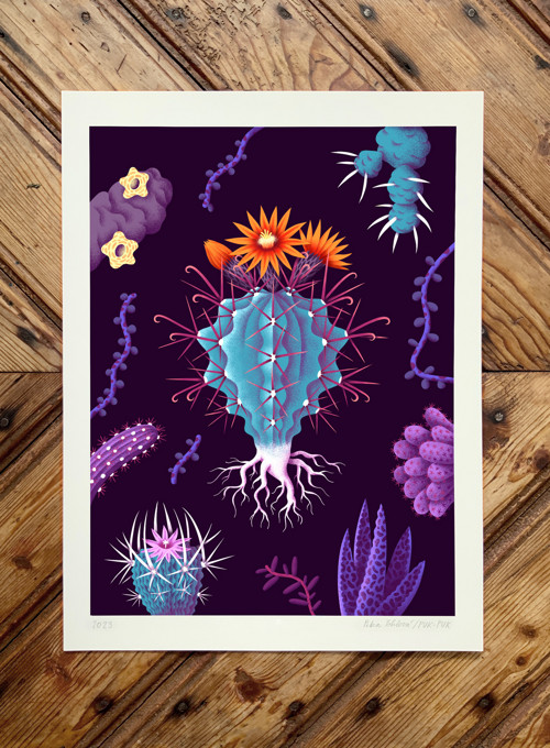 Ilustrace Ferocactus