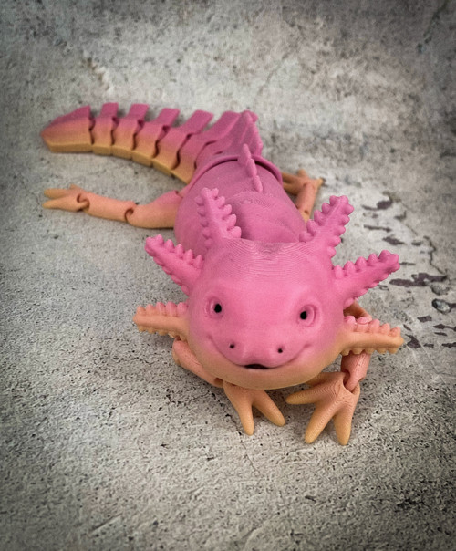 Axolotl vodní dráček velký růžový