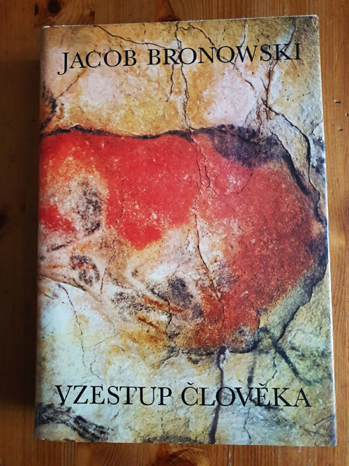 Vzestup člověka — foto 1
