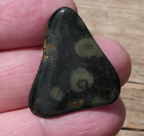 Jaspis kambaba - Nebula stone V1011 — foto 1
